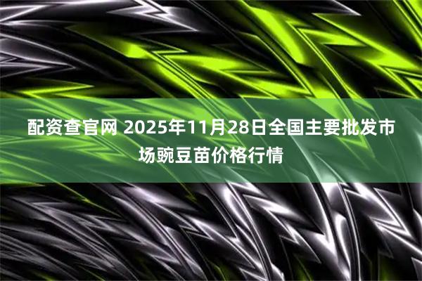 配资查官网 2025年11月28日全国主要批发市场豌豆苗价格行情